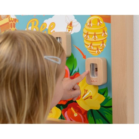 Cykl Życia Pszczoły Edukacyjna Tablica Dla Dzieci Masterkidz