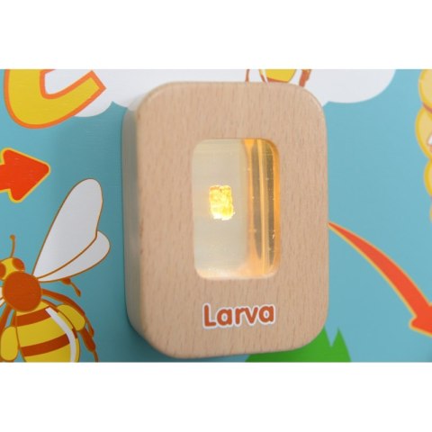 Cykl Życia Pszczoły Edukacyjna Tablica Dla Dzieci Masterkidz