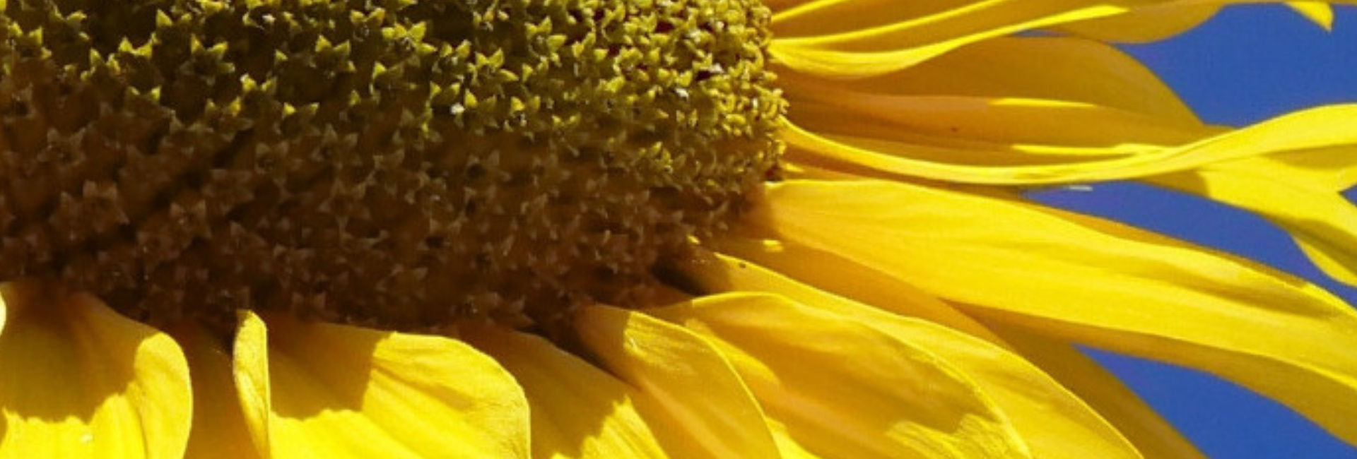 original_Test-emot_[1940]_0c20274c9e34